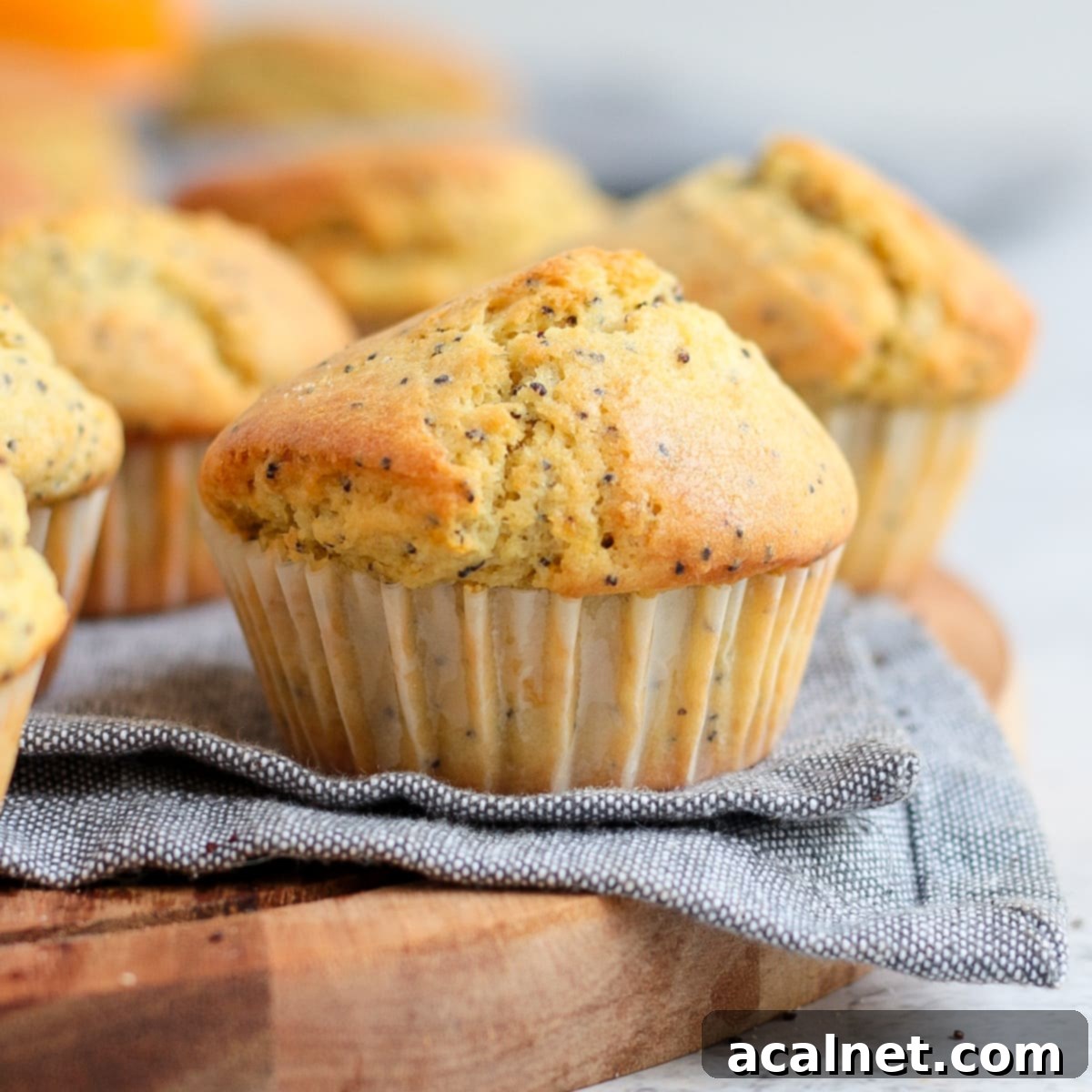 A close-up view of an Orange and Poppy Seed Muffin, highlighting its texture and poppy seed flecks.