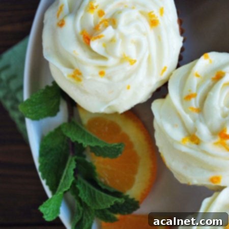 Beautifully decorated Orange Cupcakes with a swirl of orange cream cheese frosting.