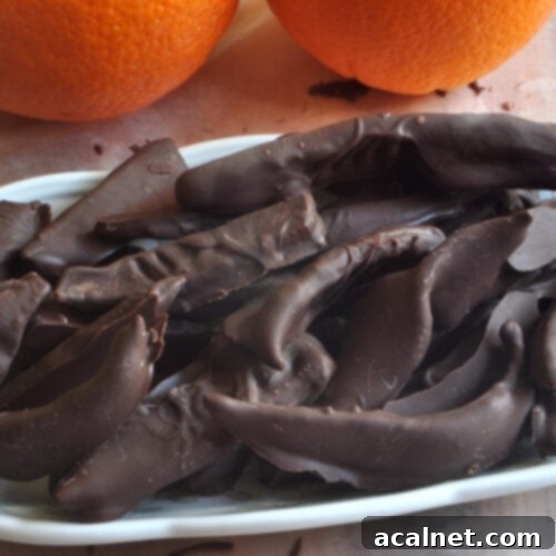 Hand-dipped Chocolate Covered Orange Peels, beautifully presented and ready to enjoy.