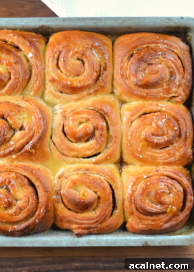 Freshly baked Orange Cinnamon Rolls with a light glaze, perfect for breakfast or brunch.
