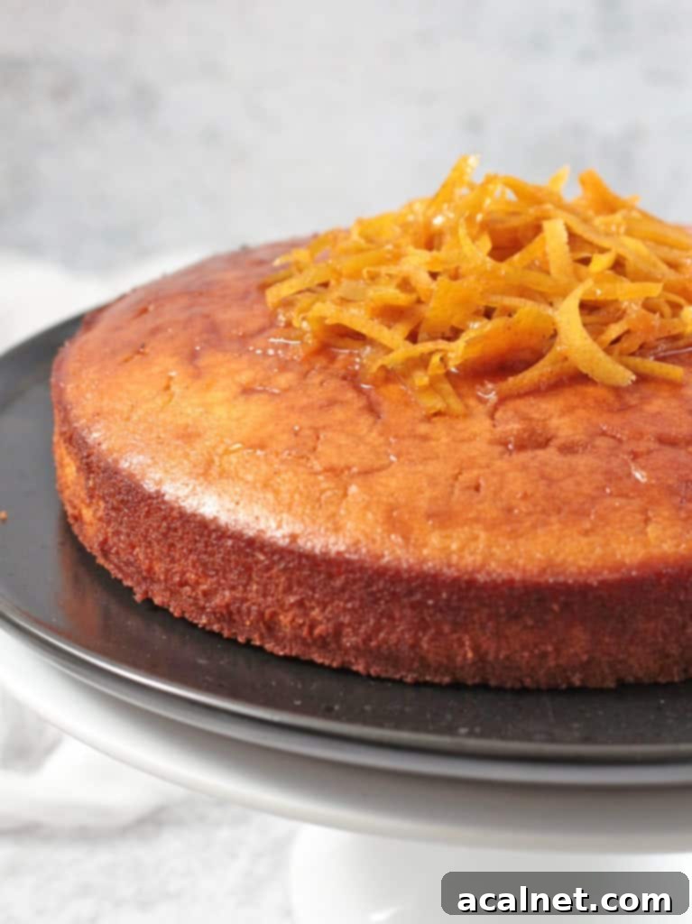 Close up view of a slice of Flourless Orange Almond Cake, showing its moist texture and delicate crumb.