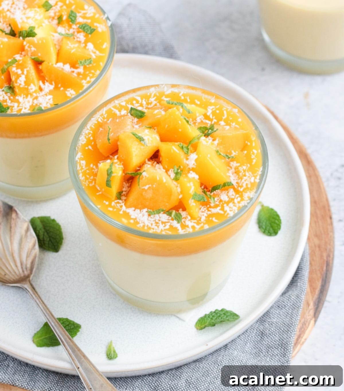 Close up on the mango coulis and fresh mango toppings on a set panna cotta