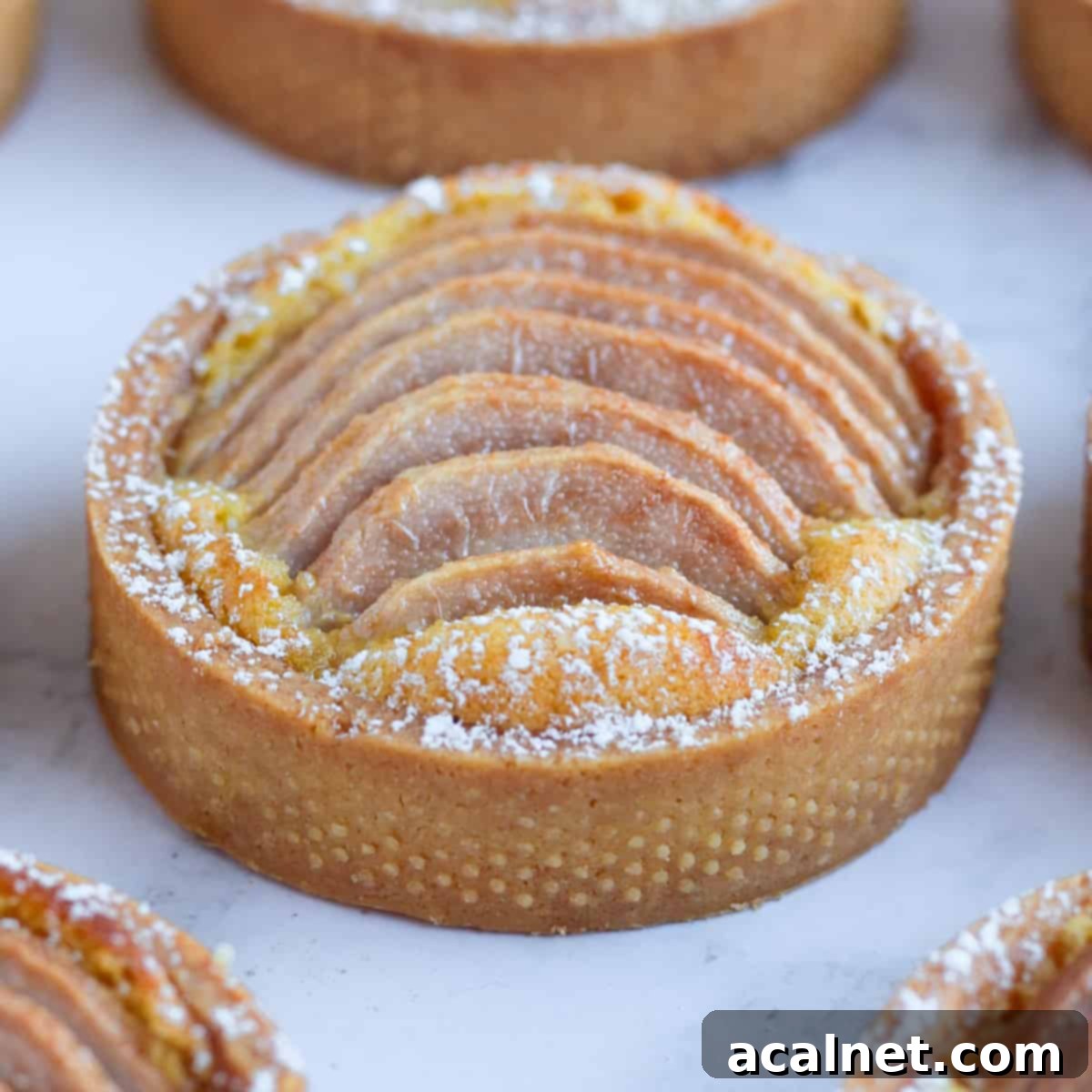 Close up on one tartlet on a grey surface. A beautifully golden-brown pear frangipane tartlet with sliced poached pears on top, dusted lightly with icing sugar, rests on a grey surface, highlighting its intricate details and delicious texture.