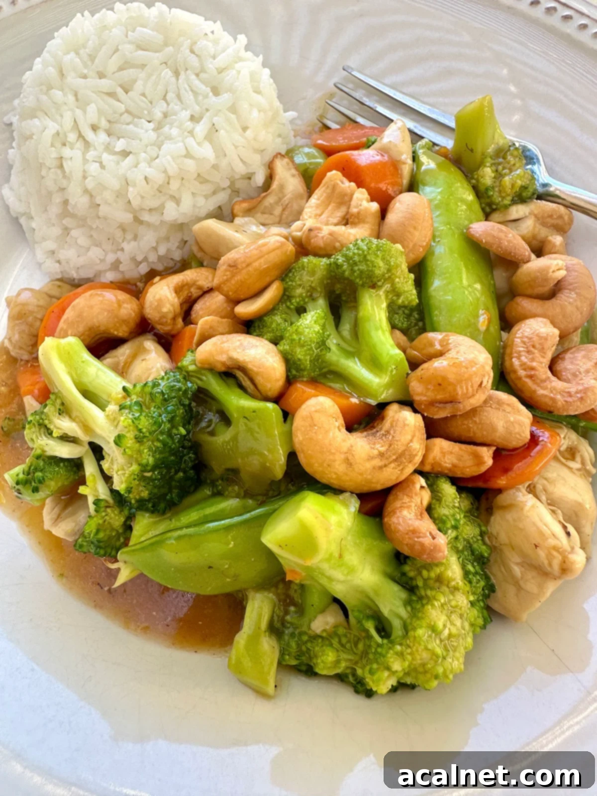 Chicken and Cashew Stir-Fry 2 A serving of cashew chicken stir fry with rice.
