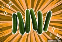 7 Delicious Alternatives to Persian Cucumber for Flavorful Recipes