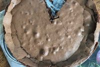 Torta Tenerina: Classic Italian Flourless Chocolate Cake