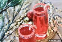Sparkling Cranberry Pomegranate Champagne Cocktail for Christmas