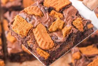 Decadent Biscoff Swirl Brownies: Gooey Lotus Cookie Butter Treat