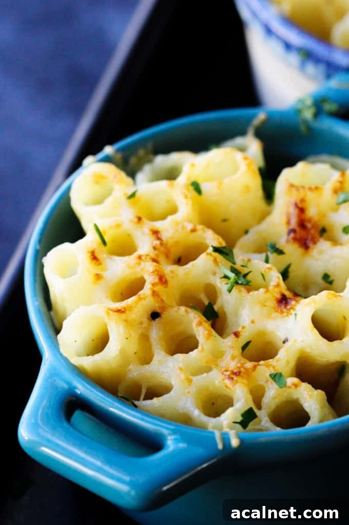 Individual ramekin with baked pasta Alfredo Style with Mahon cheese