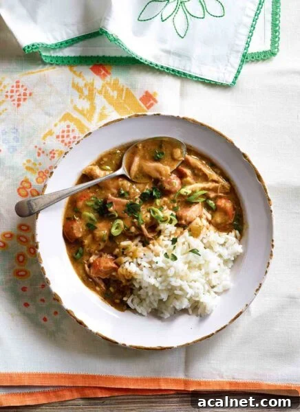 Cajun chicken and sausage gumbo with a serving of rice, in a white bowl with a spoon.