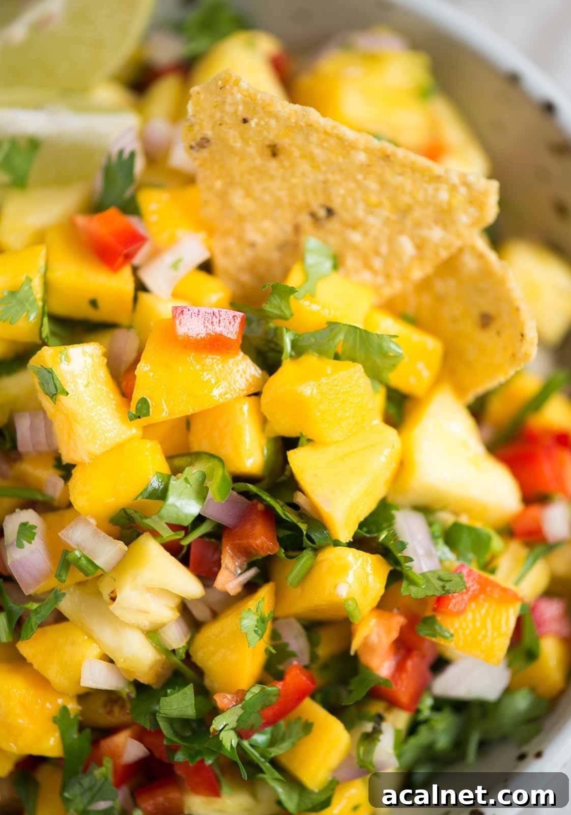 Close up image of pineapple mango salsa with chips in them.