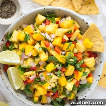 Cover pic showing pineapple mango salsa in a bowl alongside chips