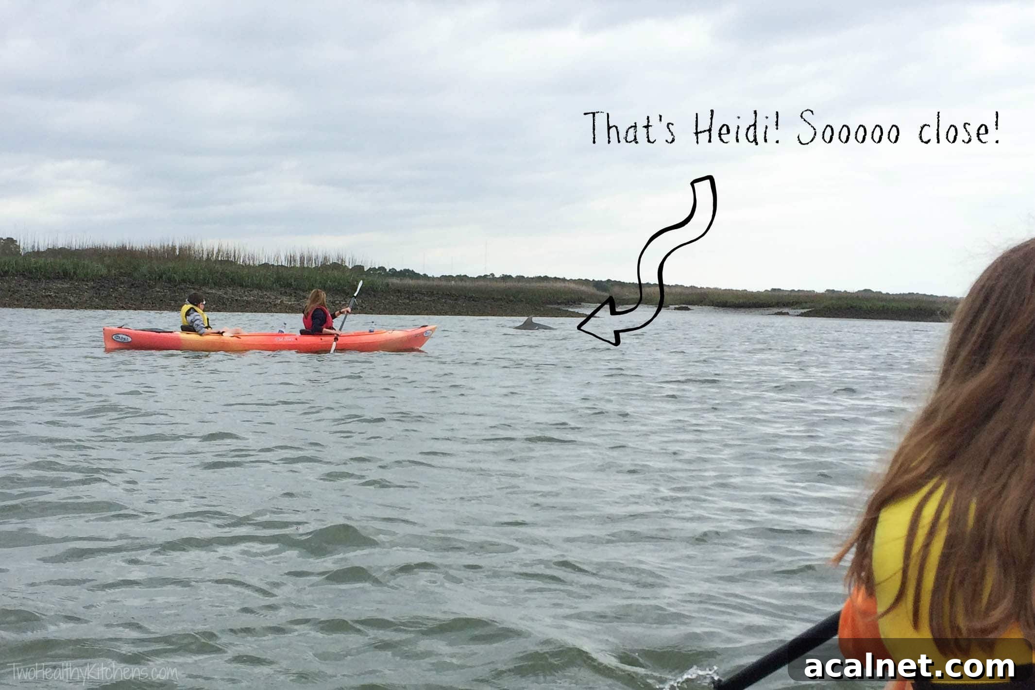 Caprese Grilled Fish Heidi Watermarked Kayaks in river with dolphin fin and text overlay with arrow