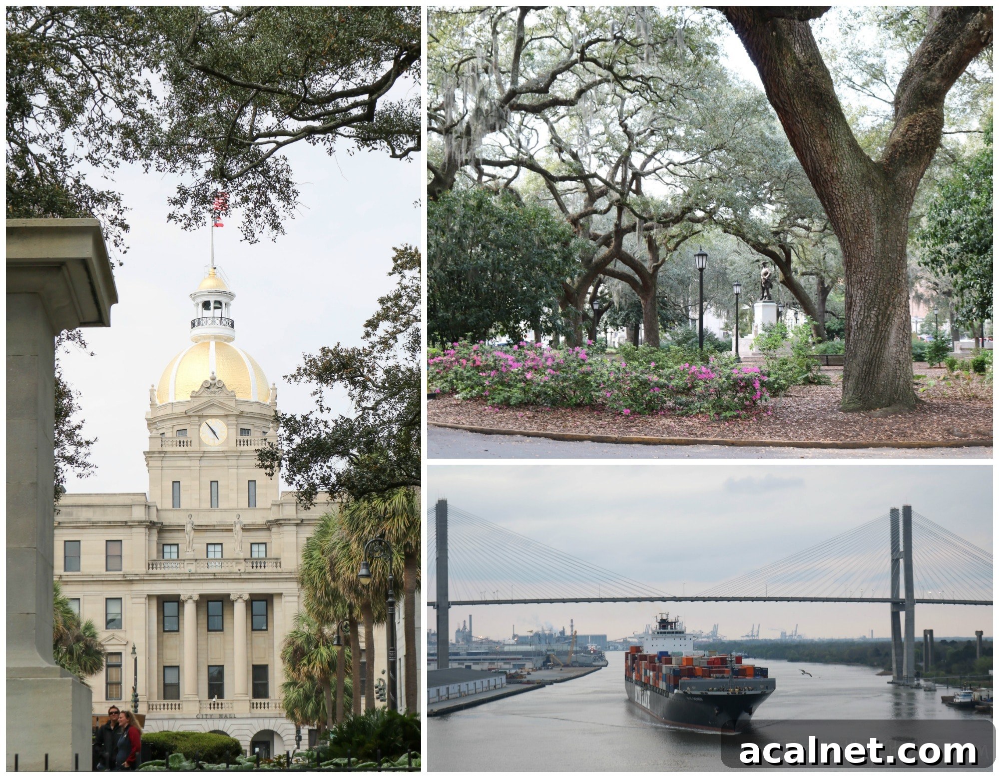 Caprese Grilled Fish Savannah Collage Collage of 3 scenic Savannah photos: gold-domed building, park and ship passing under bridge.