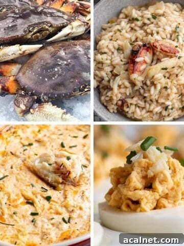 Four images: One with Dungeness crab, crab risotto, crab dip and crab deviled eggs.