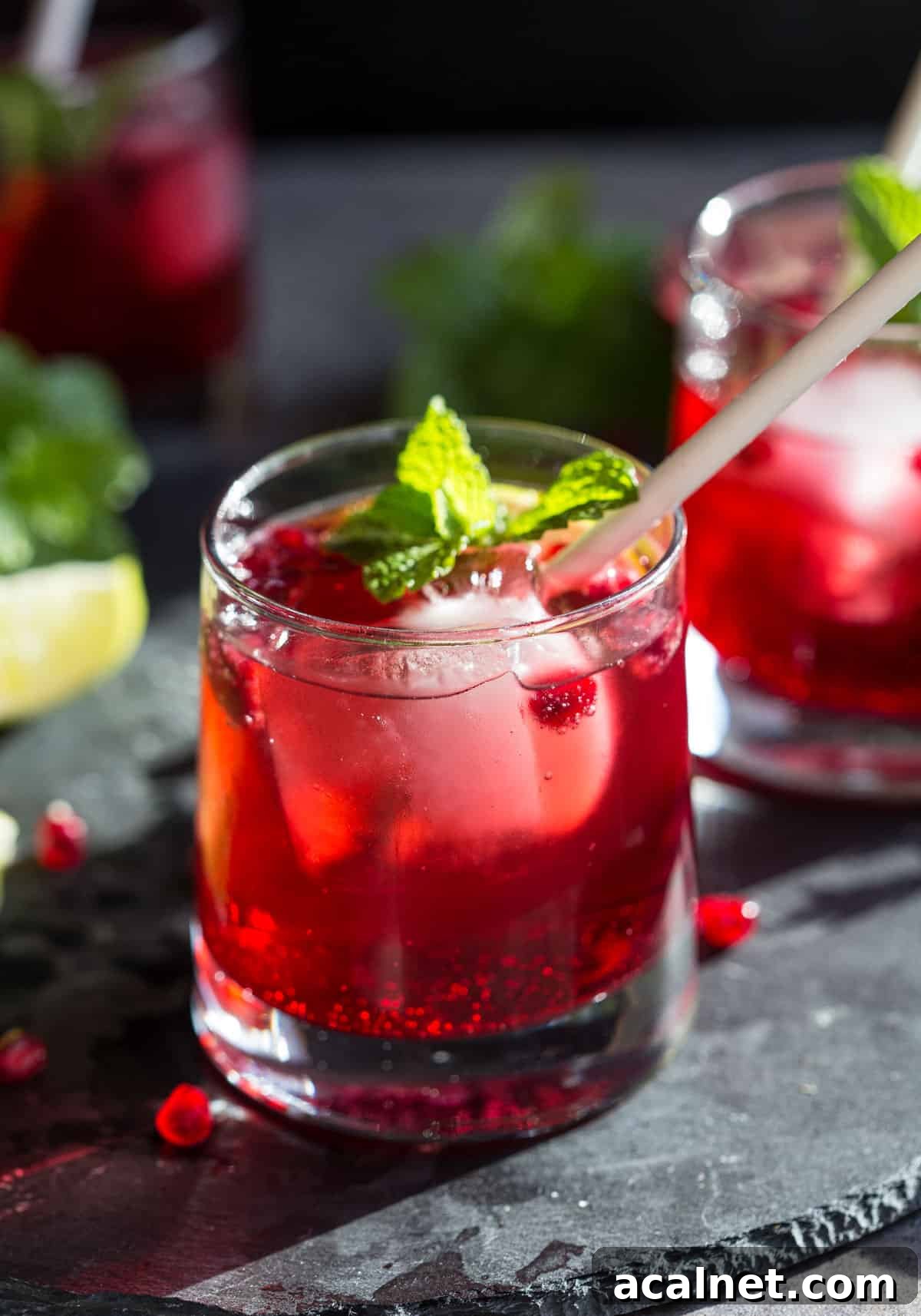 Pomegranate Ginger Beer Cocktail Recipe: Sparkling Holiday Drink 2 Ginger Pomegranate Spritz cocktail in a glass with a straw and fresh mint garnish