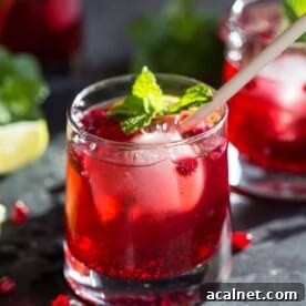 Pomegranate Ginger Beer Cocktail Recipe: Sparkling Holiday Drink 7 Ginger Pomegranate Spritz in glass.