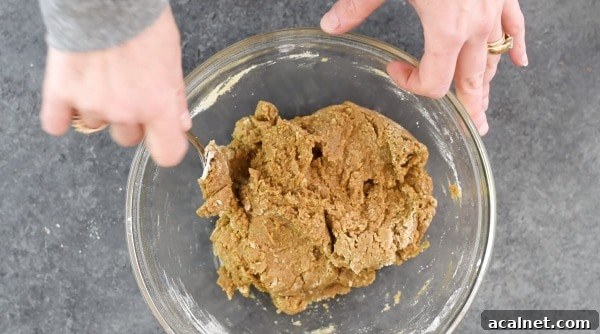 The molasses cookie batter in a bowl.