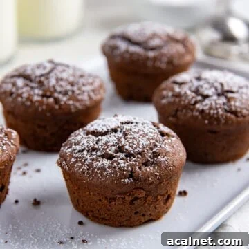 Baked chocolate muffins on a white serving platter.