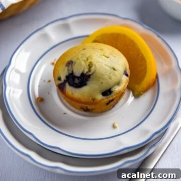 Baked muffin on white plate with a slice of fresh orange on the side.
