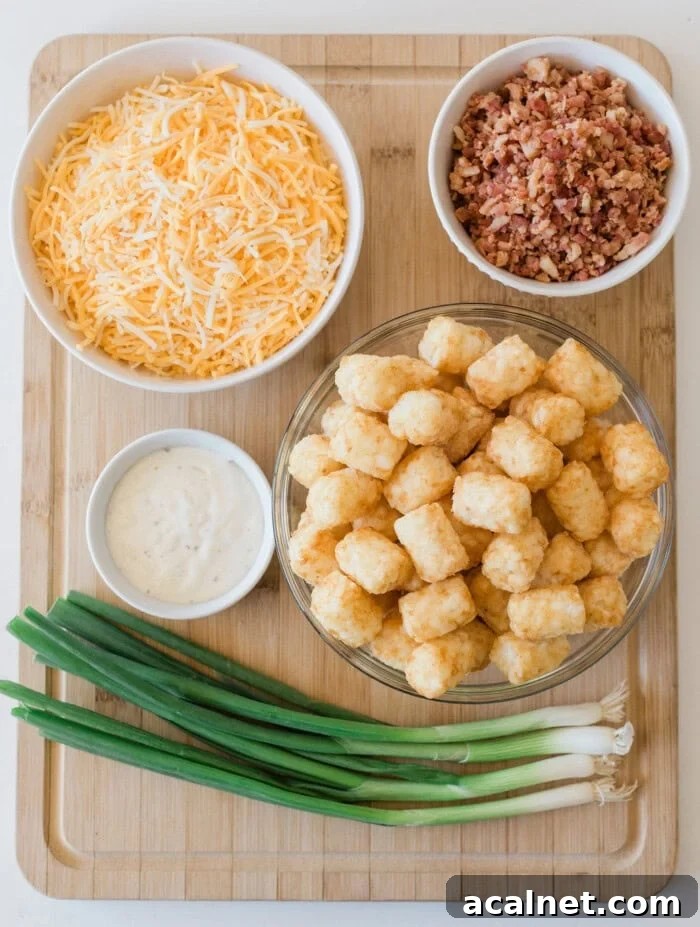 Bowls with shredded cheese, bacon bits, tater tots, and dipping sauce