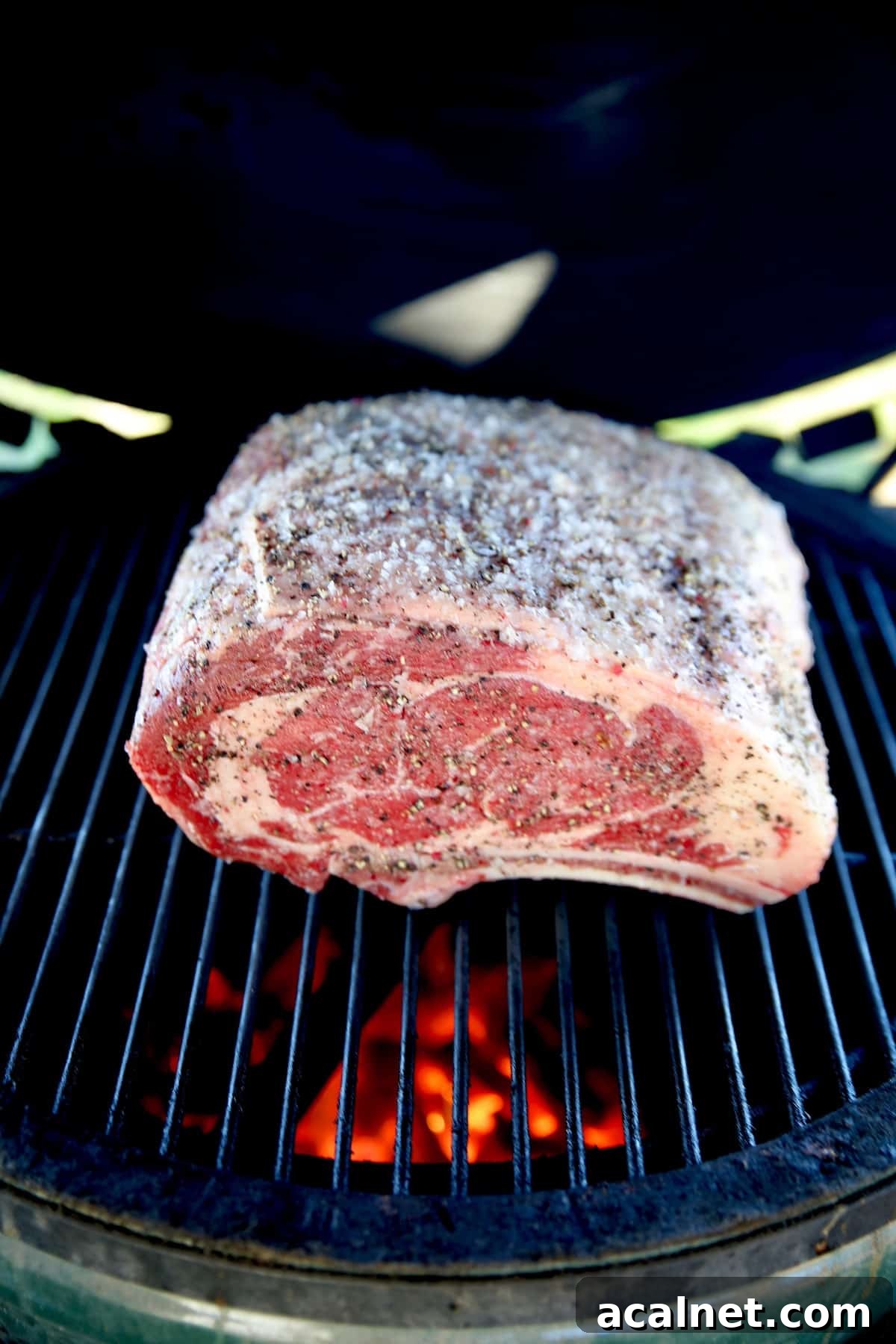 Prime Rib Roast on a hot grill fire to sear. Searing prime rib roast on a grill.