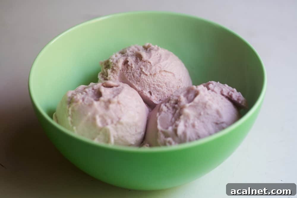 Dairy-Free Strawberry Milkshake Recipe: Creamy Vegan Shake 5 A bowl of dairy-free strawberry frozen dessert in a green plastic bowl.