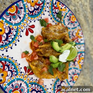 Taco-Stuffed Pasta Shells: Cheesy Mexican-Style Dinner Recipe 2 Taco Stuffed Shells