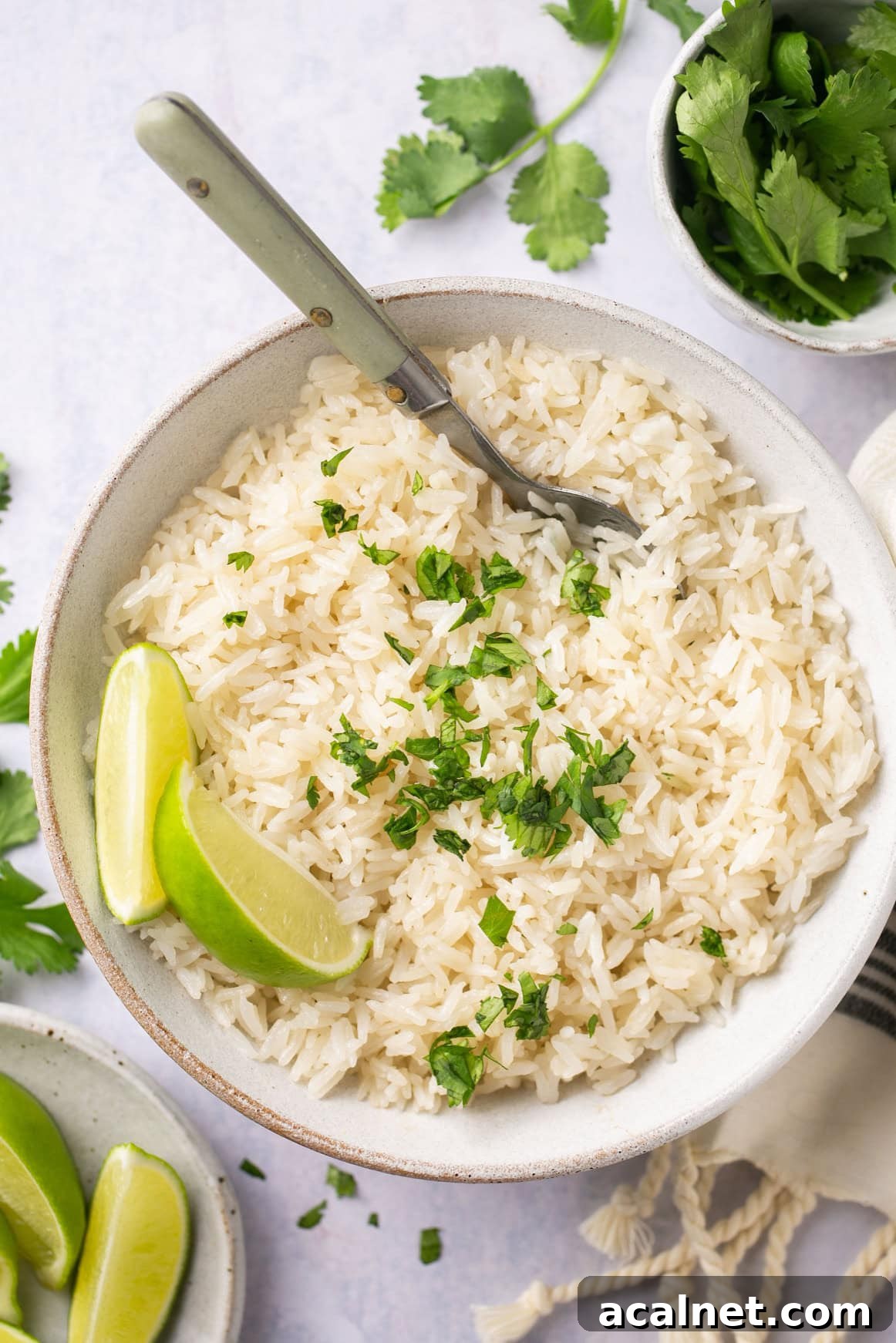 a bowl of instant pot coconut rice topped with chopped cilantro and two lime wedges