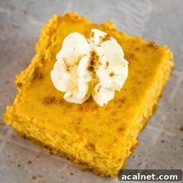 close-up of creamy pumpkin cheesecake bars with graham cracker crust and whipped cream topping