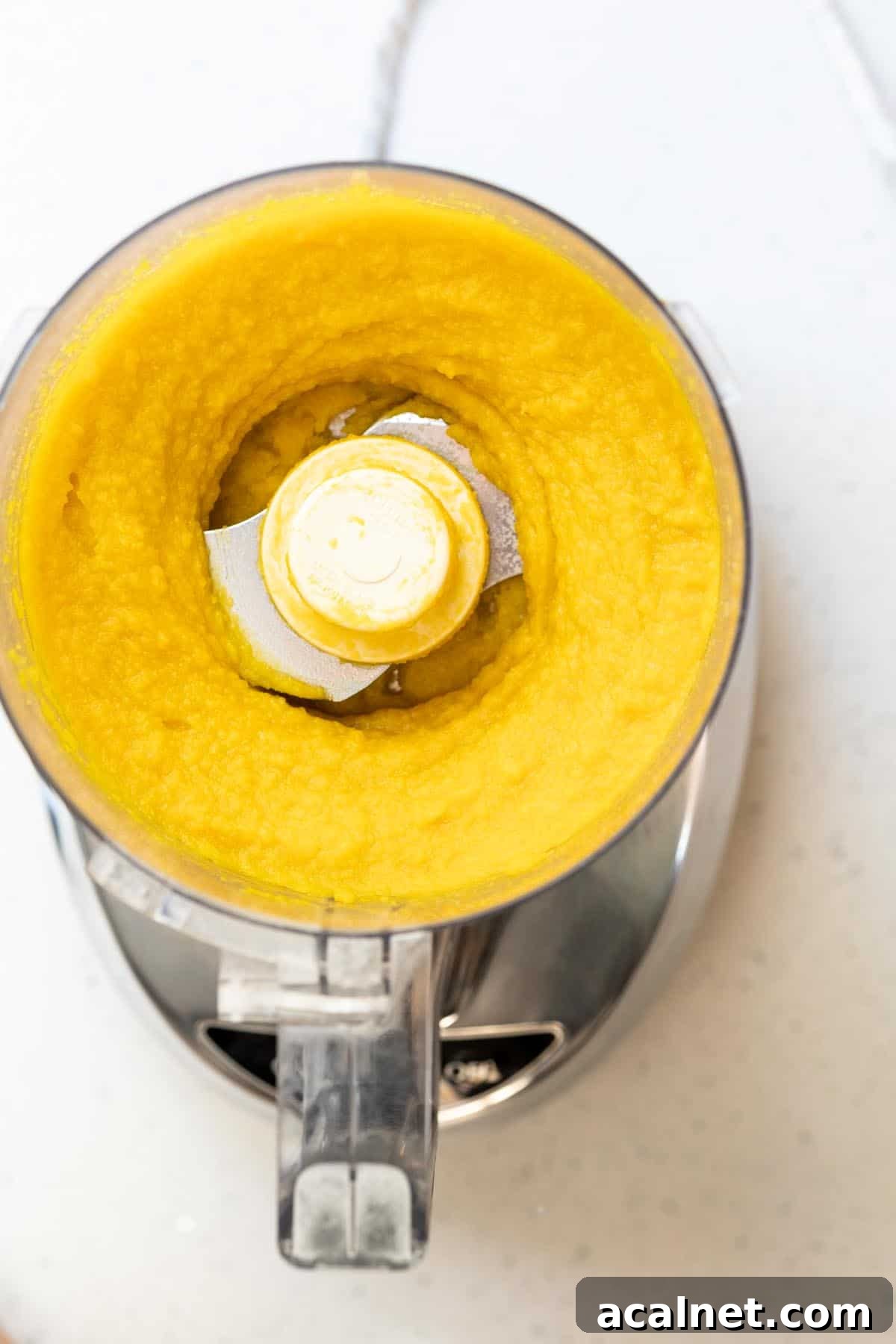 Kabocha pumpkin puree in a food processor.