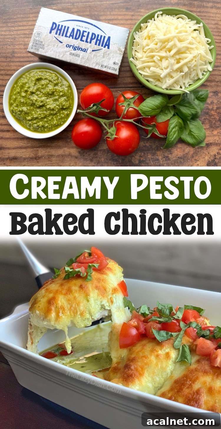 Are you a cream cheese lover? You're going to love this quick and easy way of baking chicken in the oven with just a few basic ingredients! It's cheesy, delicious, family friendly, low carb, and so simple to make any night of the week for a casual dinner at home. 