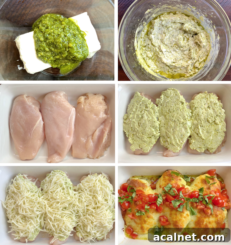 This easy chicken dinner recipe is made with a yummy mixture of cream cheese and basil pesto resulting in a flavorful way to bake chicken in the oven! My entire family loves this recipe and it's versatile because you can serve it alone, over pasta, with rice, or with potatoes. 