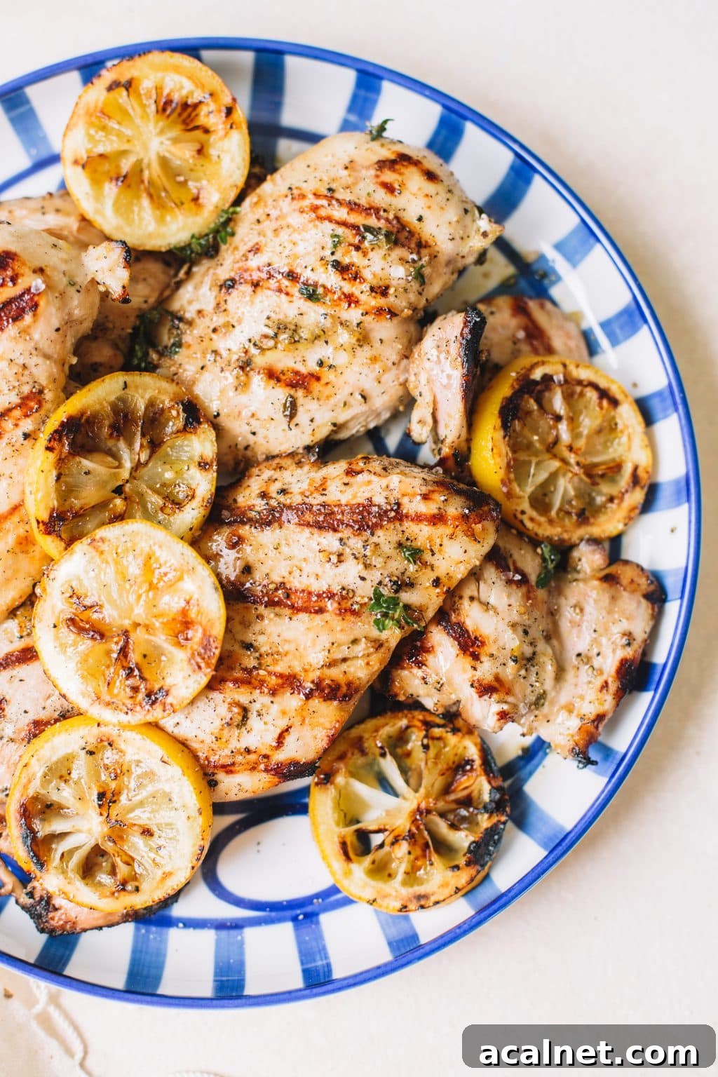 Citrus Grilled Chicken with Lemon Herb Marinade 5 grilled lemon chicken with lemon wheels on blue striped plate