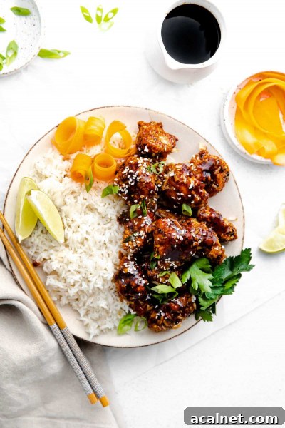 large plate of air fryer teriyaki chicken with rice