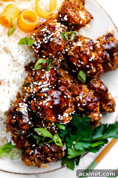 close-up of air fryer teriyaki rice on rice