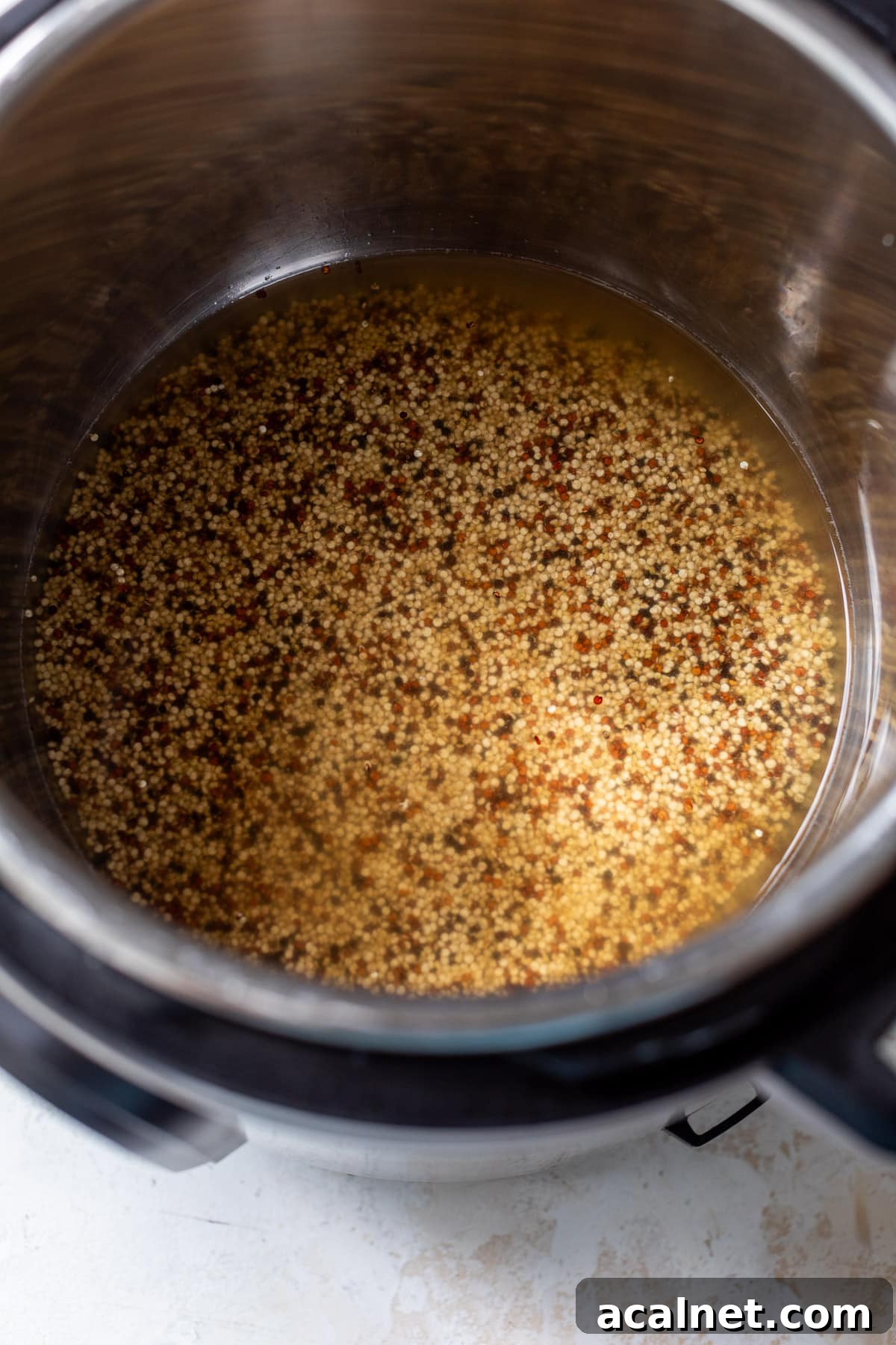 overhead view of uncooked quinoa and broth in an Instant Pot.