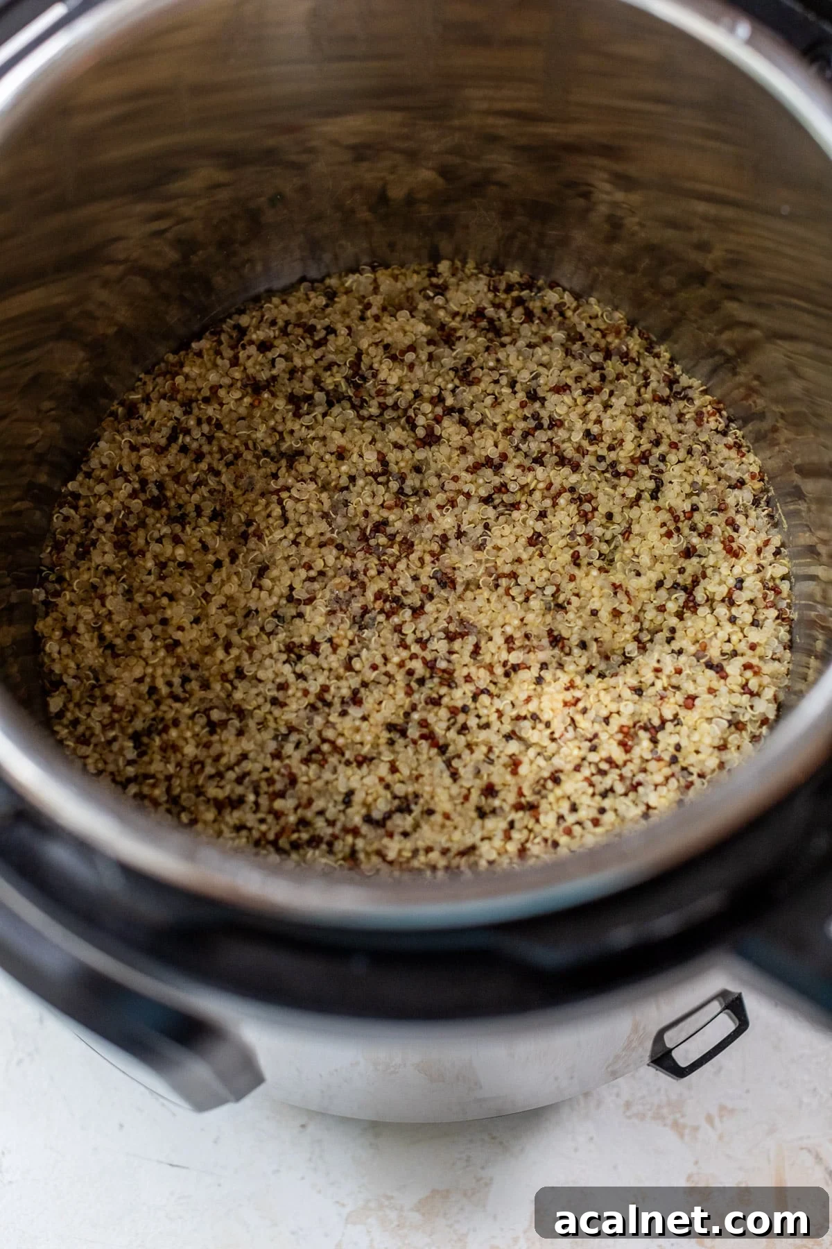 overhead view of cooked quinoa in an Instant Pot.