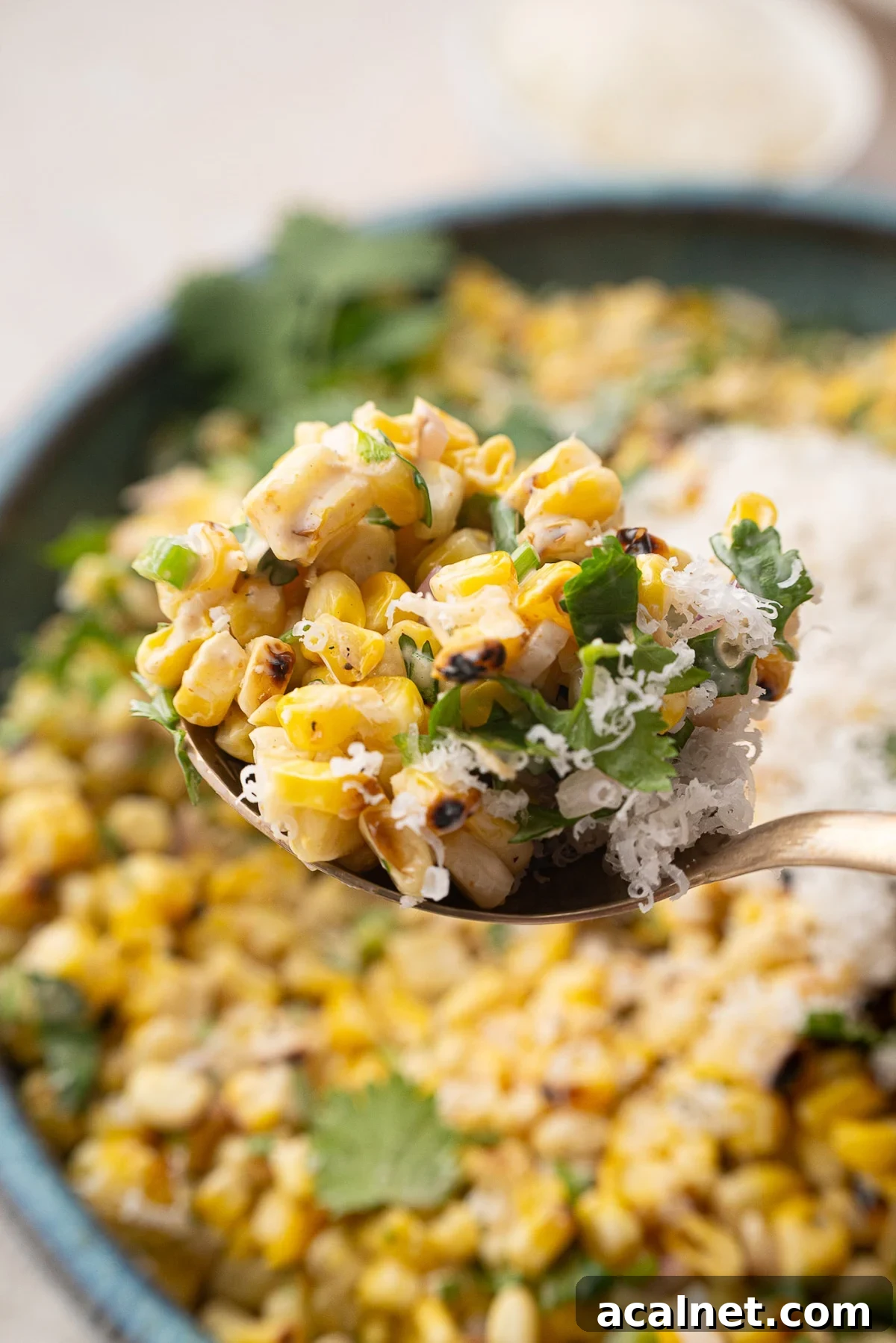 bite of street corn with creamy cheese