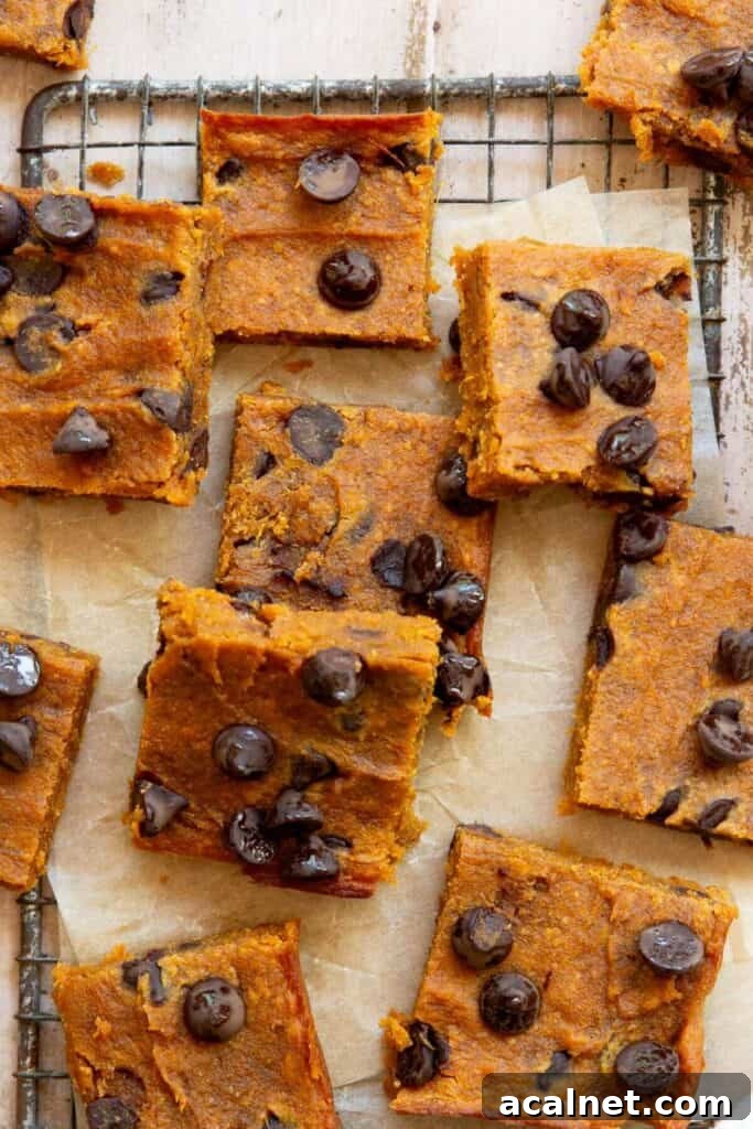 chocolate chip sweet potato blondies