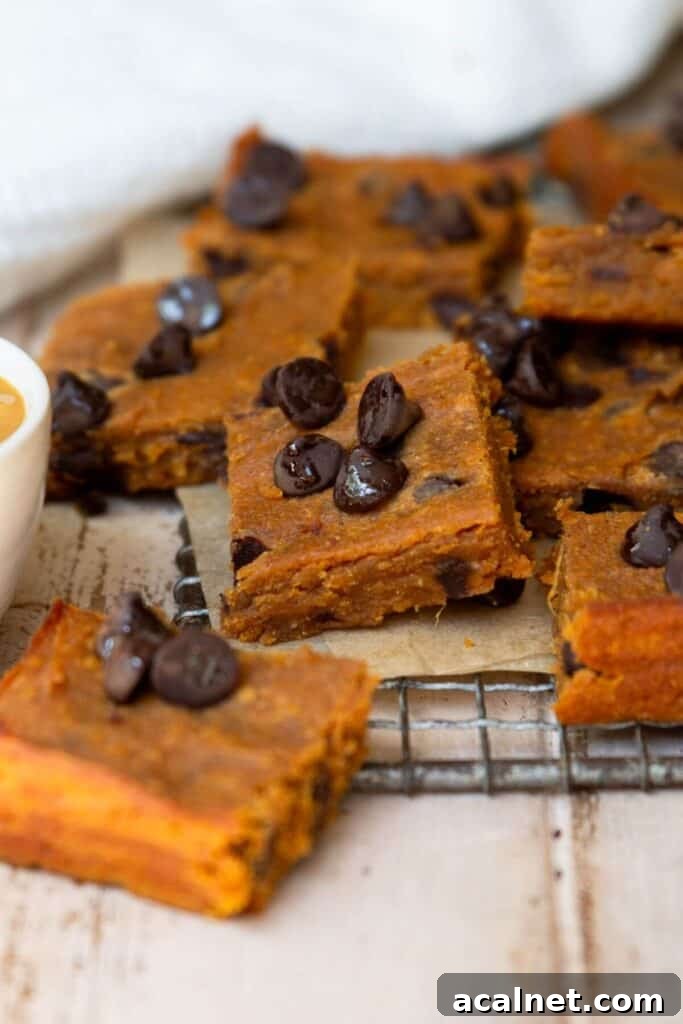 peanut butter chocolate chip sweet potato blondies