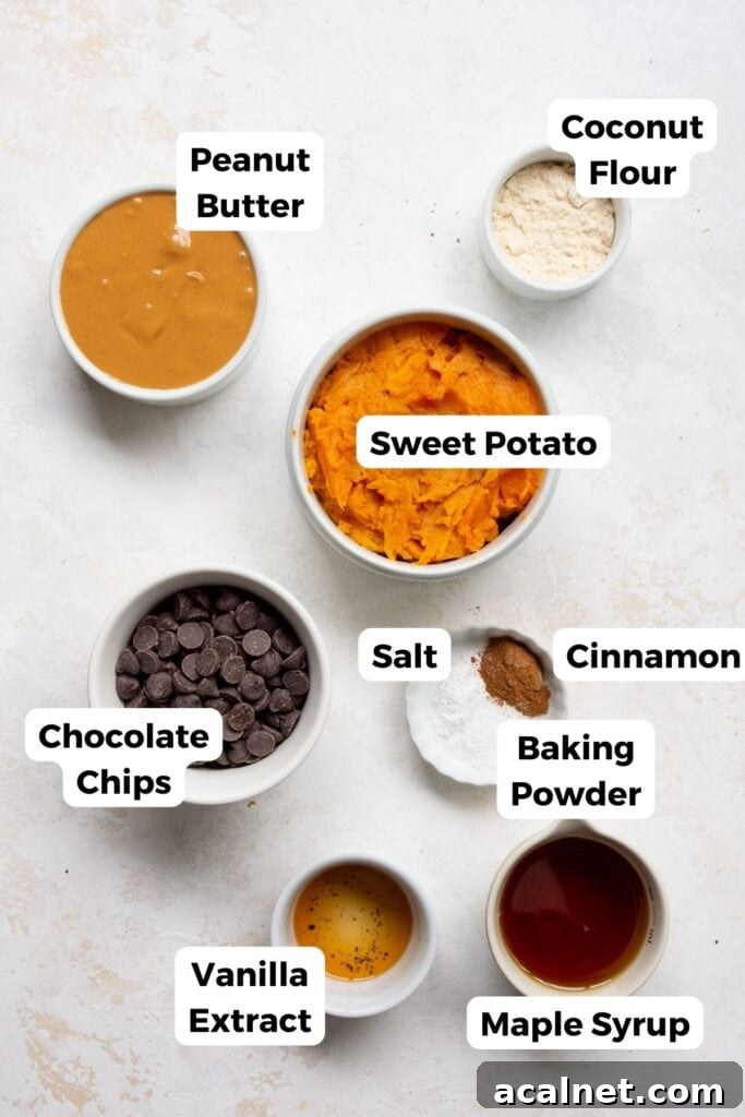 all ingredients in sweet potato blondies in small bowls with labels for someone to read