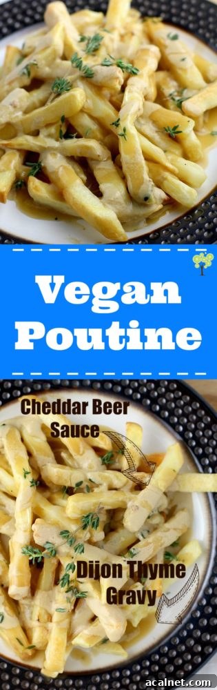 Vegan Poutine http://wp.me/p4qC4h-3uS