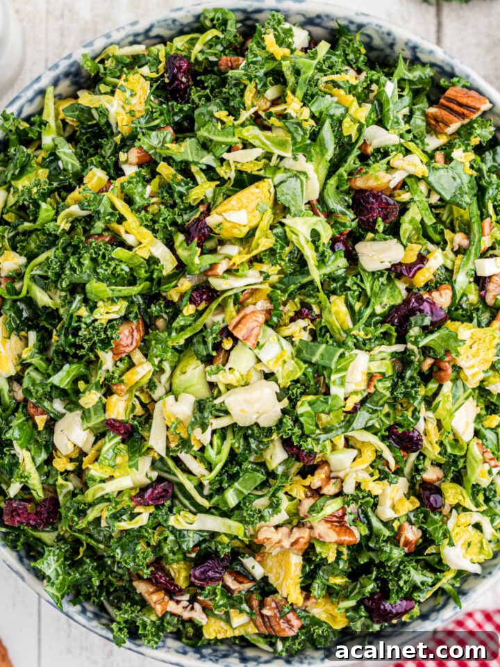 Overhead shot of a full bowl of a copycat cracker barrel kale salad.