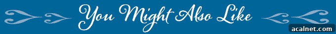 blue banner with the words you might also like