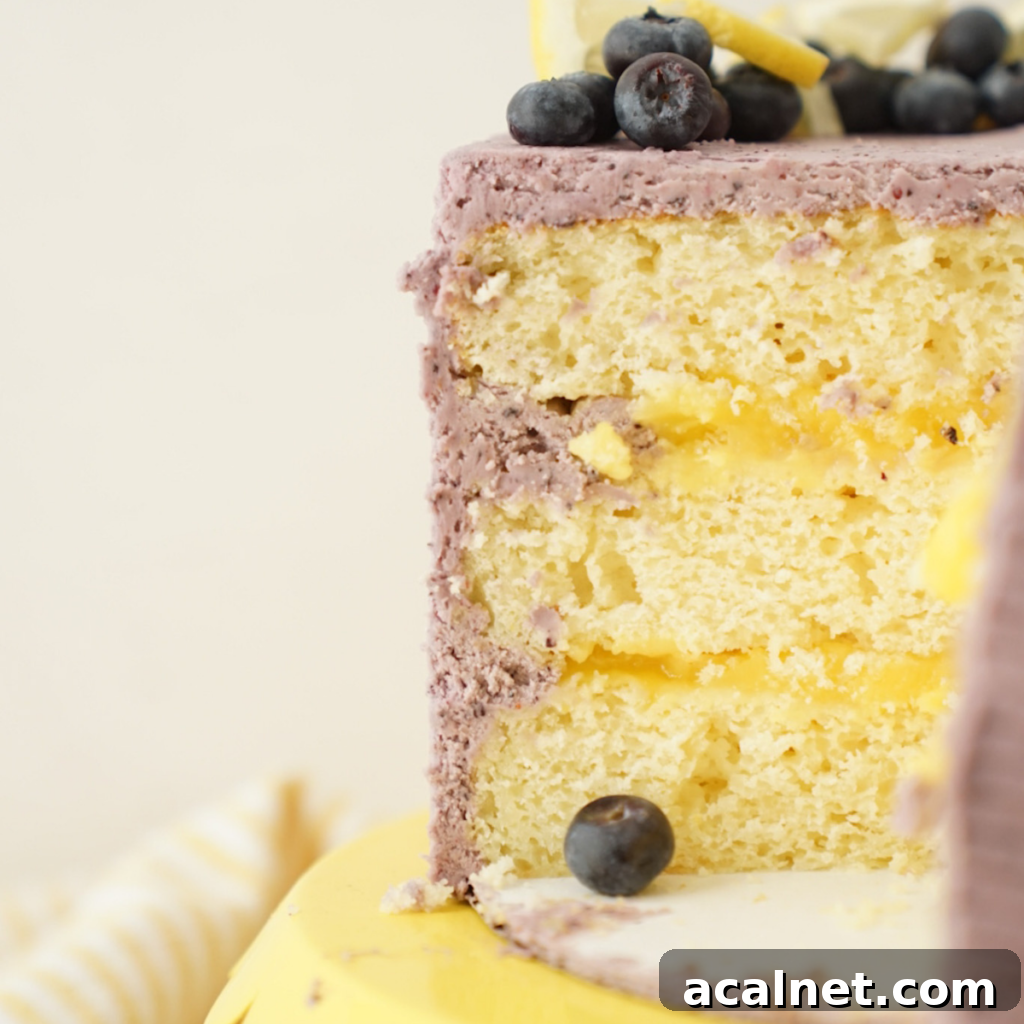 Lemon Blueberry Cake