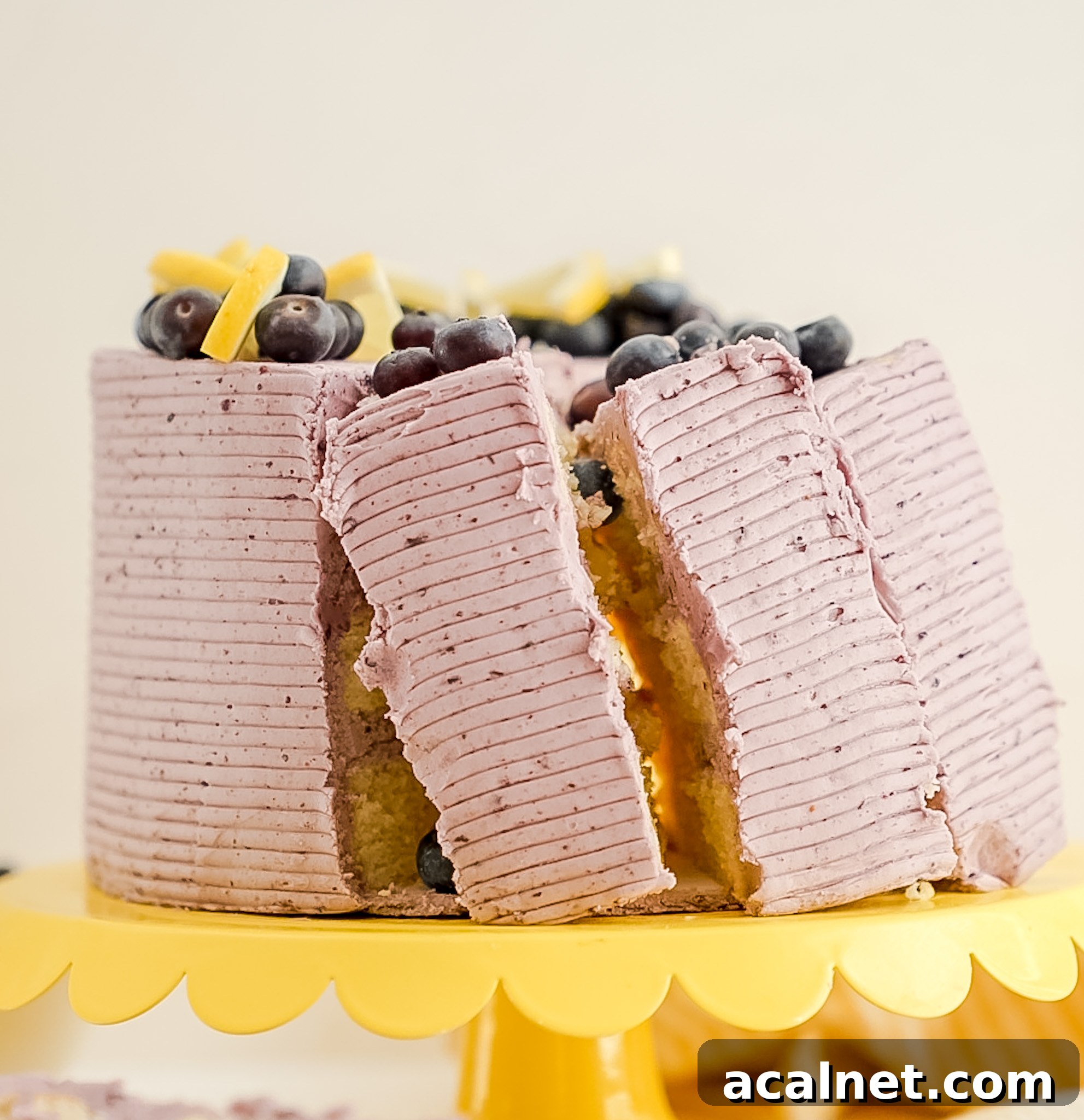 Cake slice close-up