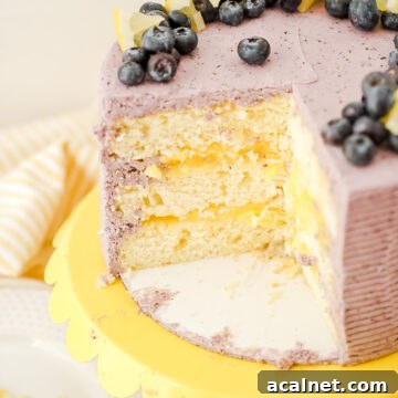 Finished lemon blueberry cake
