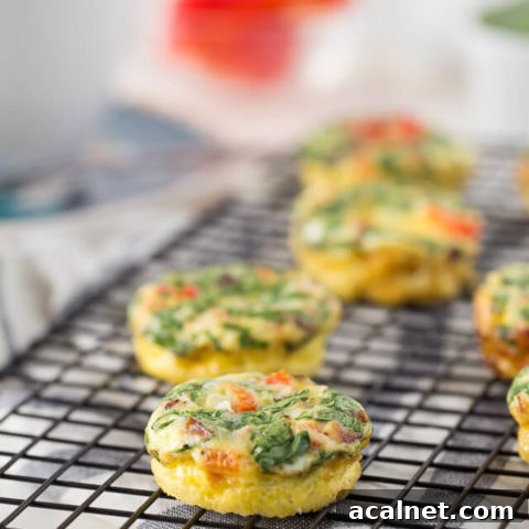 Breakfast Egg Muffins