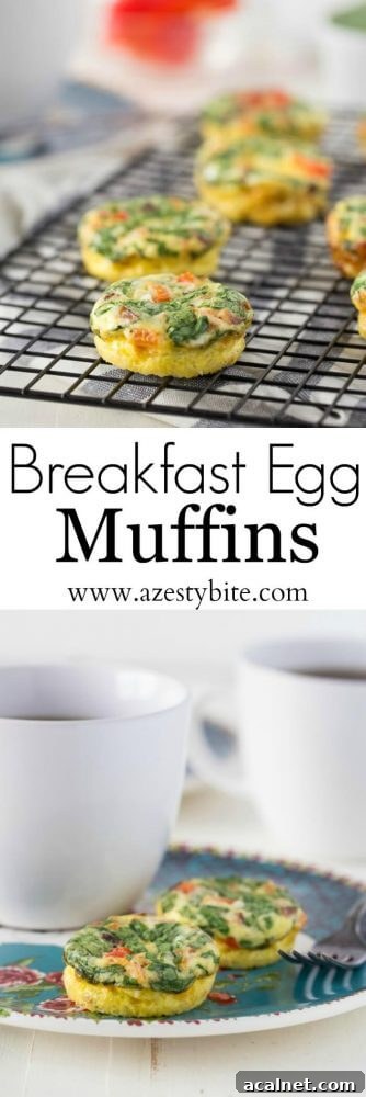 Breakfast Egg Muffins